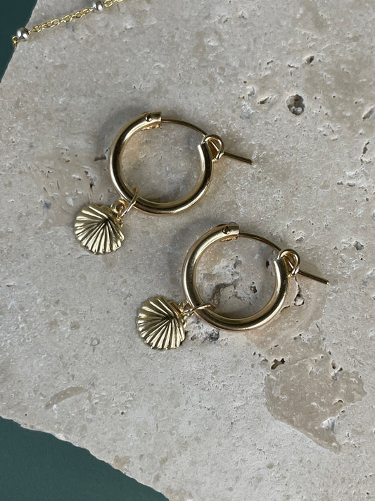 shelly hoops