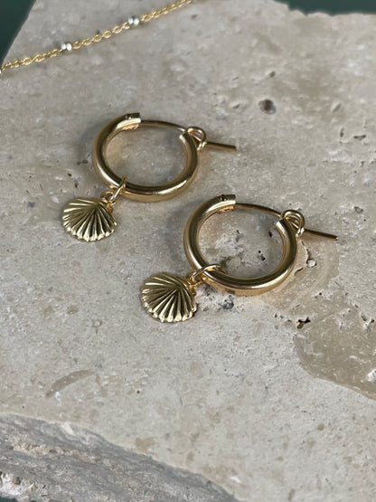 shelly hoops