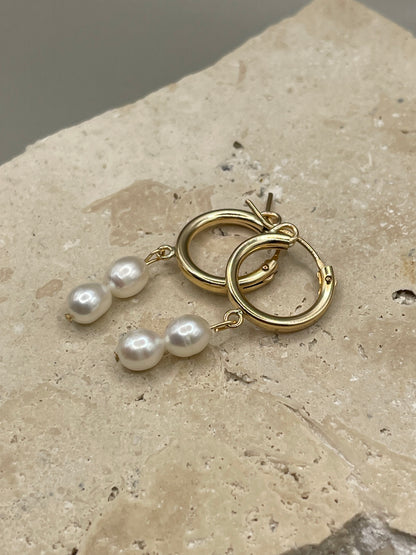 zimi hoops