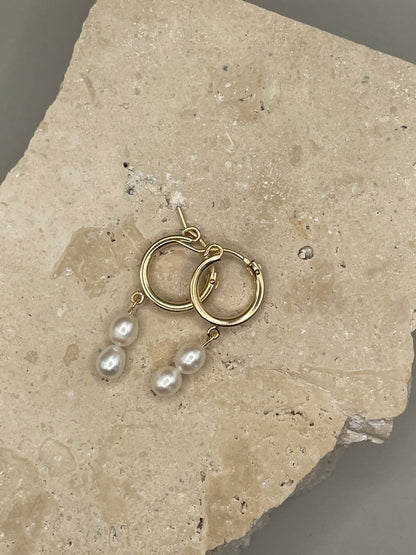 zimi hoops